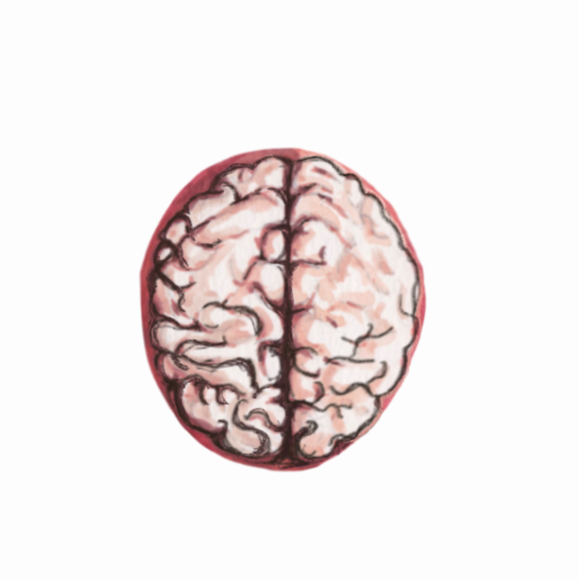 untitled artwork 19.png